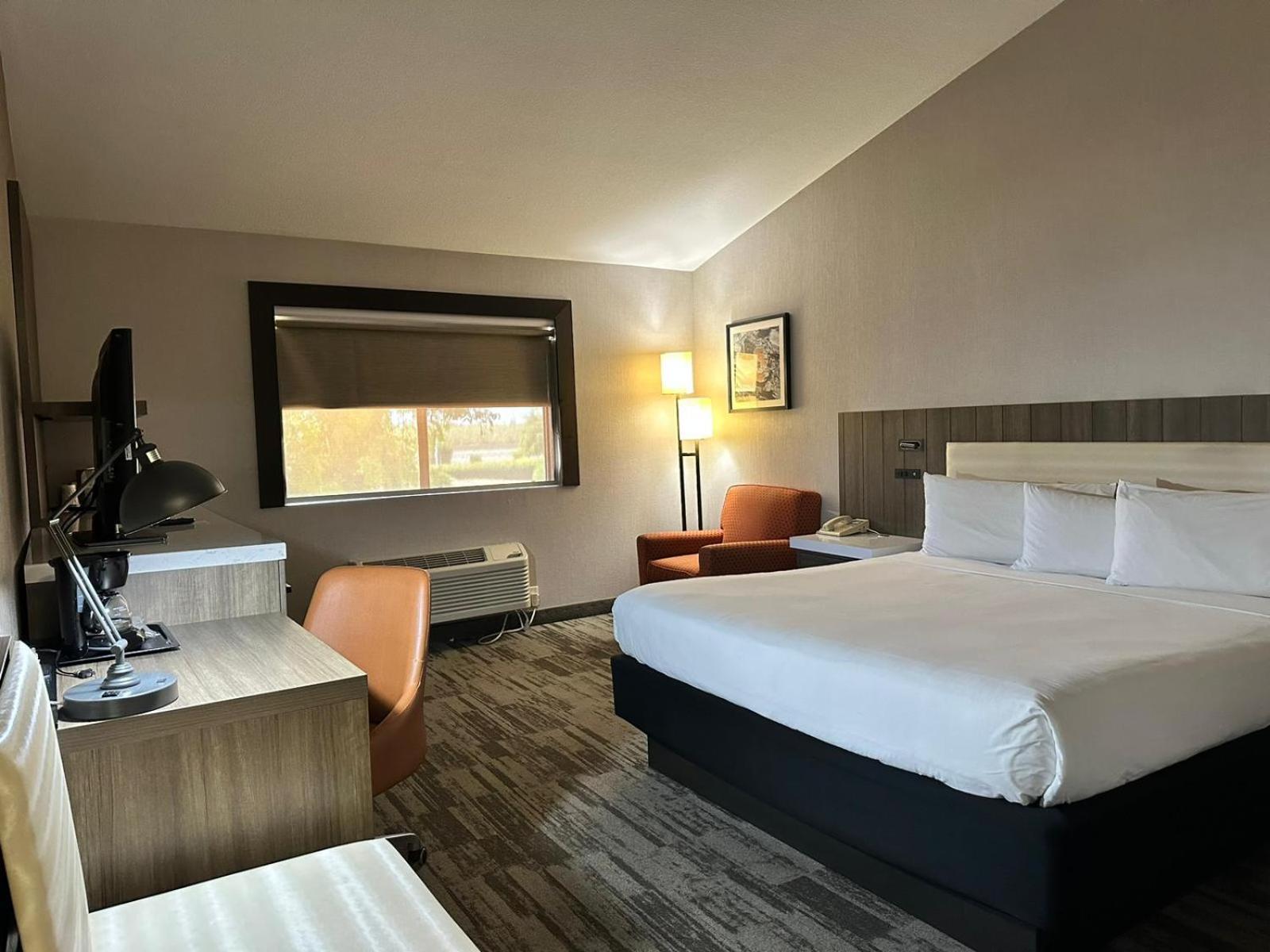 La Casa Modesto, Ascend Hotel Collection Экстерьер фото