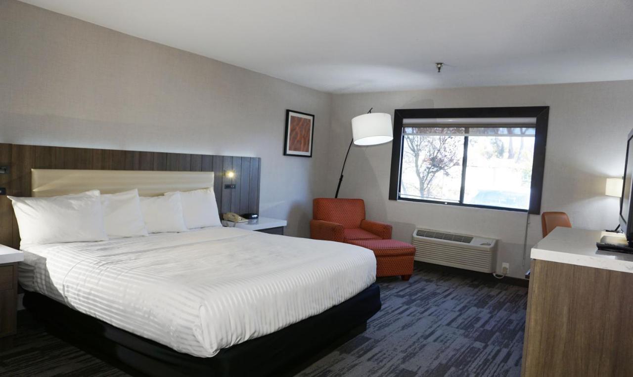 La Casa Modesto, Ascend Hotel Collection Экстерьер фото